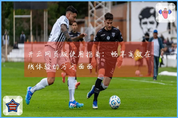 开云网页版使用指南：畅享高效在线体验的方方面面